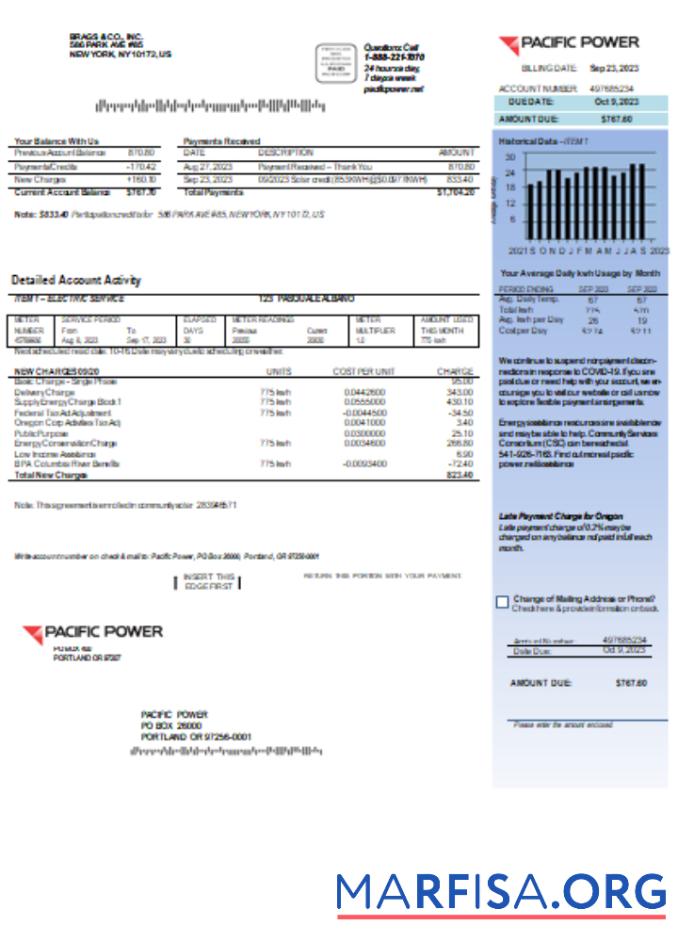 Realistic Pacific Power utility business bill, page 1, SCR download for verification